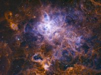 ngc2070d