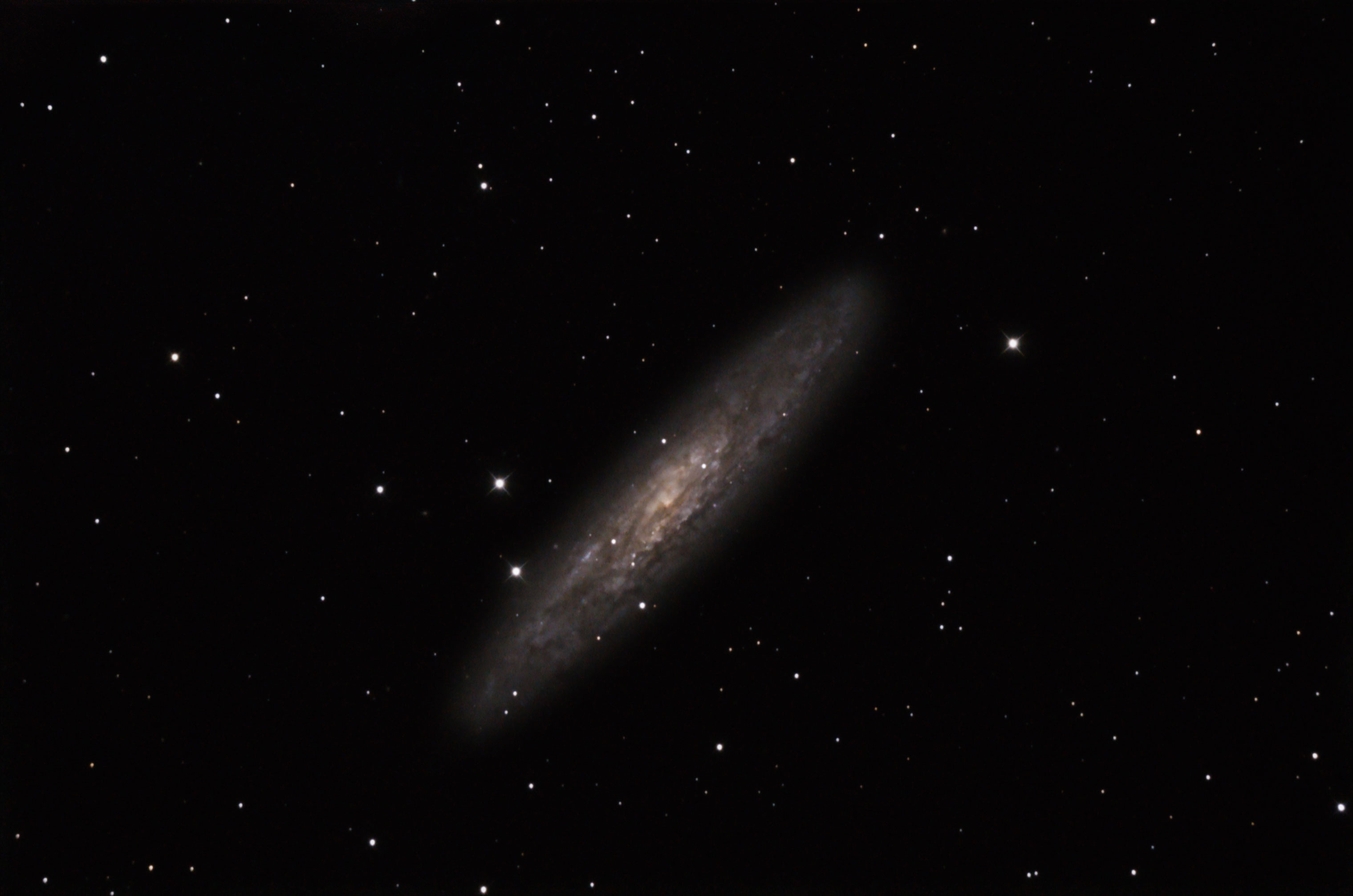 Sculptor Galaxy (NGC 253)