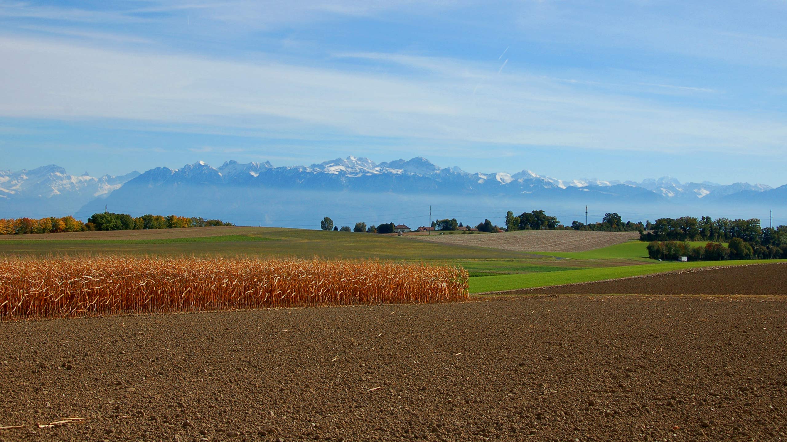 Vallee de Joux